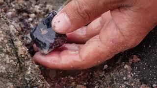 citrine and Amethyst hidden under the rocks. Harvest of the treasure pit today!Gems, quartz