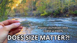 Jerkbait fishing for TROUT! Rapala countdown elite 55 vs 75