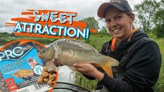 Carp Find These Tactics Irresistible! | Kayleigh Dowd