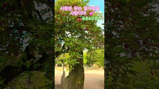 사랑은 무슨 얼어죽을 사랑이야 #강문경 #강훈  #불타는장미단 #트로트