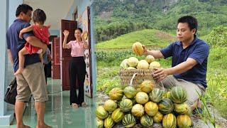 Harvesting the melon garden and bringing it to the market to sell - Picking up baby after school