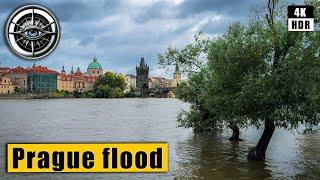 Prague flood report - Walking Tour of Malá Strana and Charles Bridge  Czech Republic 4k HDR ASMR