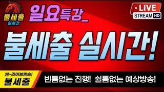 9월8일 일요일/더 시원하게/더 짜릿하게/기적을 만들어가는/불세출 실시간