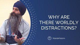 Why Are There So Many Worldly Distractions?