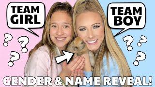Is it a BOY OR GIRL?!  GENDER REVEAL PARTY FOR BABY BUNNY! 