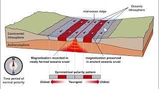 THE TRUTH ABOUT MAGNETIC REVERSALS