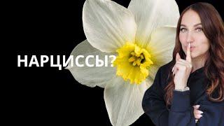 Как пережить расставание с нарциссом?