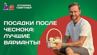 ПОСАДКИ ПОСЛЕ ЧЕСНОКА: ЧТО ПОСЕЯТЬ В ИЮЛЕ-АВГУСТЕ ДЛЯ ПОЗДНЕГО УРОЖАЯ