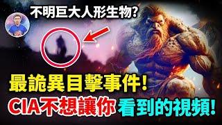 驚！男人偶然拍到了「不明巨大人形生物」後竟離奇消失？到底發生了什麼事？【地球旅館】