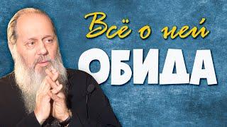 Как перестать обижаться? | о. Владимир Головин | Евангельские беседы