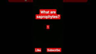 #saprophytes#shorts#youtubeshorts#youtubeshorts #edustore #