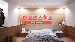 침대 진드기 및 강아지 침대 오줌 얼룩 냄새 매트리스 청소 방법