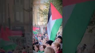 Free Palestine: The World Stands for Justice and Peace