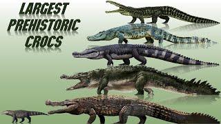 10 Biggest Prehistoric Crocodiles Ever Discovered (2021)