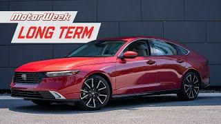 5 Month Update with our Long Term 2024 Honda Accord Hybrid