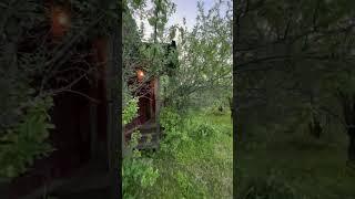 Продается дача с выходом в лес на уч. 4.4 сотки в СНТ "Родник-1"  д. Арсаки, Александровский район