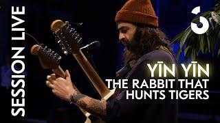 Yīn Yīn - The Rabbit That Hunts Tigers - SESSION LIVE