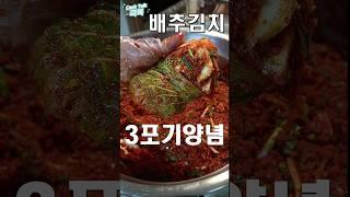 배추3포기 김치양념!   #김장김치 #김치 #레시피