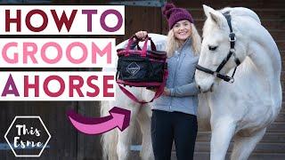 How to Groom a Horse + What's in my Grooming Kit + Tips for Grey Ponies AD | This Esme