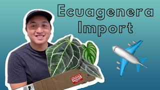 My First Imports!! | Ecuagenera Unboxing