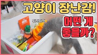 고양이 장난감 추천!(브리티쉬숏헤어) [팥시루 이야기 #5]