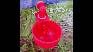 PoulCups – Set for automatic water provision for poultry