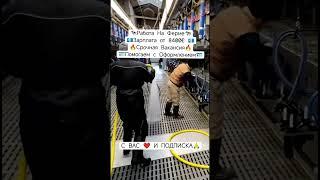 Работа в Европе #вакансии #работавевропе