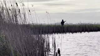 Fishing in the flooded polder.