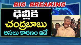 CM Chandrababu Delhi Tour : PDTV News