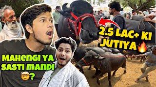 The most expensive Janwar market of 2025 | The heavy Janwar of Bakra Eid | Sacrifice Janwar Price...