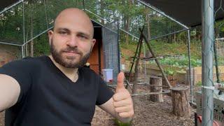 Building Chicken Toys | The Arnak Way |