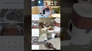 Javiscam Smart Cat Feeder QUICK Review  | 2K Camera, Auto Feeding & AI Pet Monitoring!