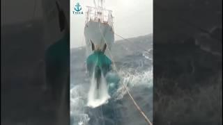 Terrifying Moments Of Ocean Waves - Ship In Storm #tmedia #shipaccident  #shipcompilation #ocean