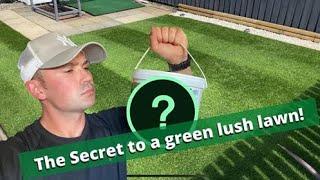 The Secret To a Lush Green Lawn // Iron Sulphate