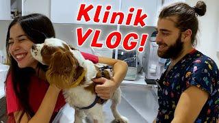 İLK VLOG GELDİ! | Veteriner Kliniğimizde Bir Günüm Nasıl Geçiyor? w/ @tugayinanoğlu