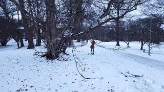 Winter-Impressionen -.im Palmengarten" - Leipzig/2021