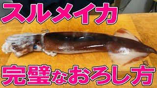 【徹底解説！】 するめいかのさばき方 【魚さばき教室・せり人ムタロー】