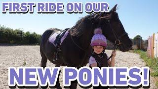 FIRST RIDE ON OUR NEW PONIES! - ESME AND DOROTHY RIDE TASHA AND BAMBI FOR THE FIRST TIME!