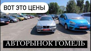 АВТОРЫНОК ГОМЕЛЬ большой обзор цены ￼￼