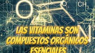 ¿Qué son las vitaminas del cuerpo? #vitaminas #shorts