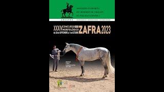 Zafra 2023 - Concurso 3* Clasificatorio para el Campeonato del Mundo SICAB 2023