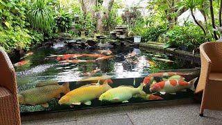 Garden Designs | TOP 3 MOST BEAUTIFUL BACKYARD FISH PONDS IN THE WORLD