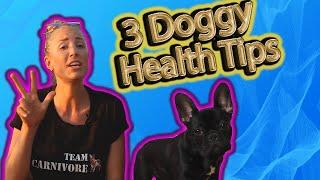 DOG HEALTH TIPS FOR LONGEVITY: 3 Easy Ways To Help Dogs Live Longer and Help Prevent Dog Cancer