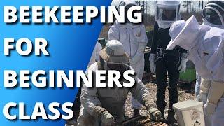 A peek into a Beekeeping for Beginners Class with The Bee Whisperer