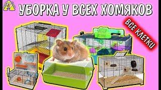 ВСЕ КЛЕТКИ МОИХ ХОМЯКОВ / УБОРКА у ВСЕХ ХОМЯКОВ / Cleaning hamster's cages / Алиса Изи