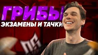 Переезд в Россию! Нашёл работу / Сдал экзамен на ВНЖ / Поел грибов