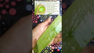 Aloe vera Hair Mask/ Marvellous Beauty      #shorts #hair #skincare #hairmask