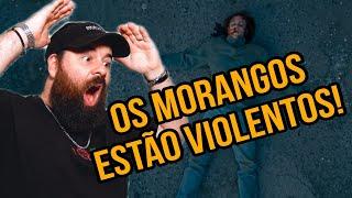 Greve de S3x0 - MORANGOS COM AÇUCAR | TEMPORADA 4 MCA - EP3  resumo Rúben Branco