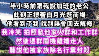 半小時前跟我說加班的老公，此刻正摟著白月光逛商場，他看到了我說別誤會回去解釋，我冷笑拍照發他家人群和工作群，然後退群關機離婚走人，聽説他被家族除名行業封殺#爽文完結#一口氣看完#小三#豪門#霸總