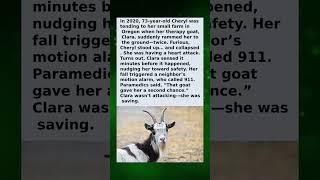 She Was Having a Heart Attack… and the Goat Knew First